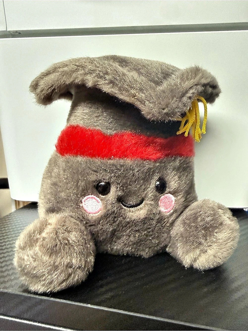 Aurora Palm Pals Scholarly Graduation Cap Brown & Red Plush Toy